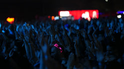 The Real Reason Bass Makes You Dance Isn't Sound. It's Touch.