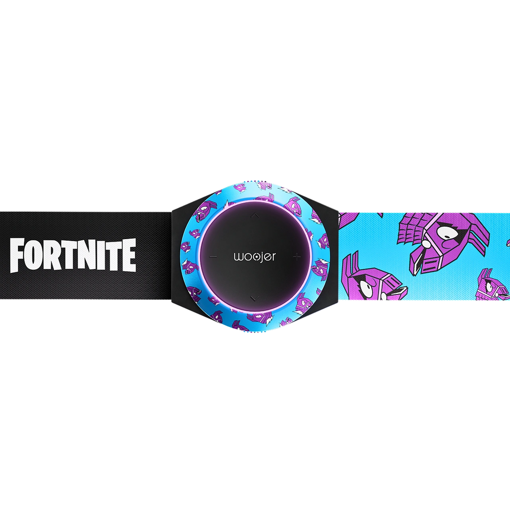 Woojer Fortnite Strap 3 Ring, Armor & Belt Style-set – Llama Edition.