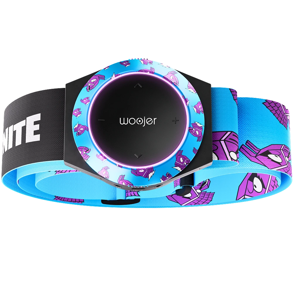 Woojer Fortnite Strap 3 Ring, Armor & Belt Style-set – Llama Edition.