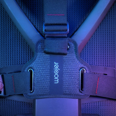 VEST 3 Chair Mount